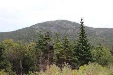 Land-Beachy Cove Brook & Hill as Your Backdrop! - Photo 4