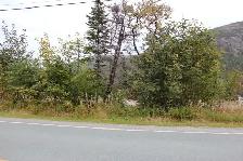 Land-Beachy Cove Brook & Hill as Your Backdrop! - Photo 5