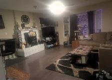 Room for Rent - Shared House with Myself and Kitties ONLY - Photo 10