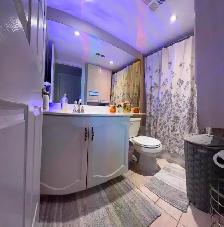 June 1st, Private Furnished Den/Room, Downtown,King/John,F-Only - Photo 3