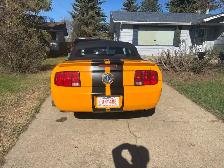 2007 Orange V6 Mustang Convertible - Photo 2