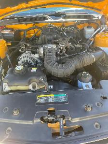 2007 Orange V6 Mustang Convertible - Photo 7