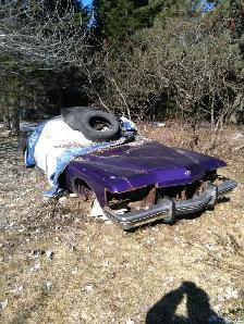 3 buick riviera boattail projects - Photo 6