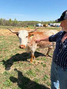 Cow calf pairs - Photo 3