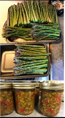 Fresh Organic local Asparagus.. - Photo 2