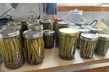 Fresh Organic local Asparagus.. - Photo 8