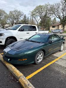 1995 Trans Am