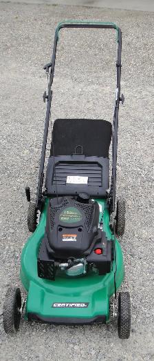 REAR BAG CERTIFIED GAS LAWNMOWER - Photo 3