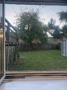 Markham - Middlefield and Steel. Basement rooms for Rent - Photo 5
