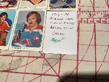 5. 1973-74 Quaker Oats WHA Trading Cards ! - Photo 7