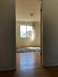 Spacious Room in House - Prime Location Northwest Edmonton - Photo 2