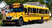 Chauffeur d'autobus scolaire / School Bus driver