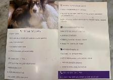 Home Care Services - Photo 3