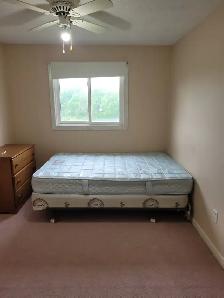 Room for rent in Woodstock - Photo 3