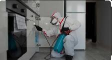 extermination souris Fourmis punaises coquerelles 514-561-8933