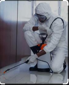 extermination souris Fourmis punaises coquerelles 514-561-8933 - Photo 4