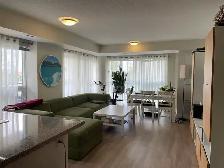 Professional Office & Beauty Salons-Affordable Cleaning
