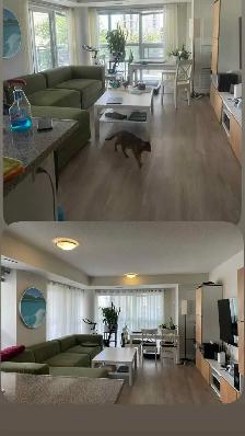 Professional Office & Beauty Salons-Affordable Cleaning - Photo 9