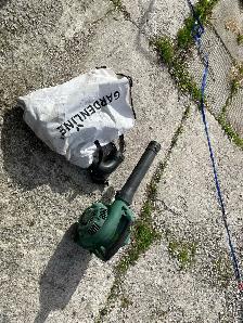 gas leaf blower