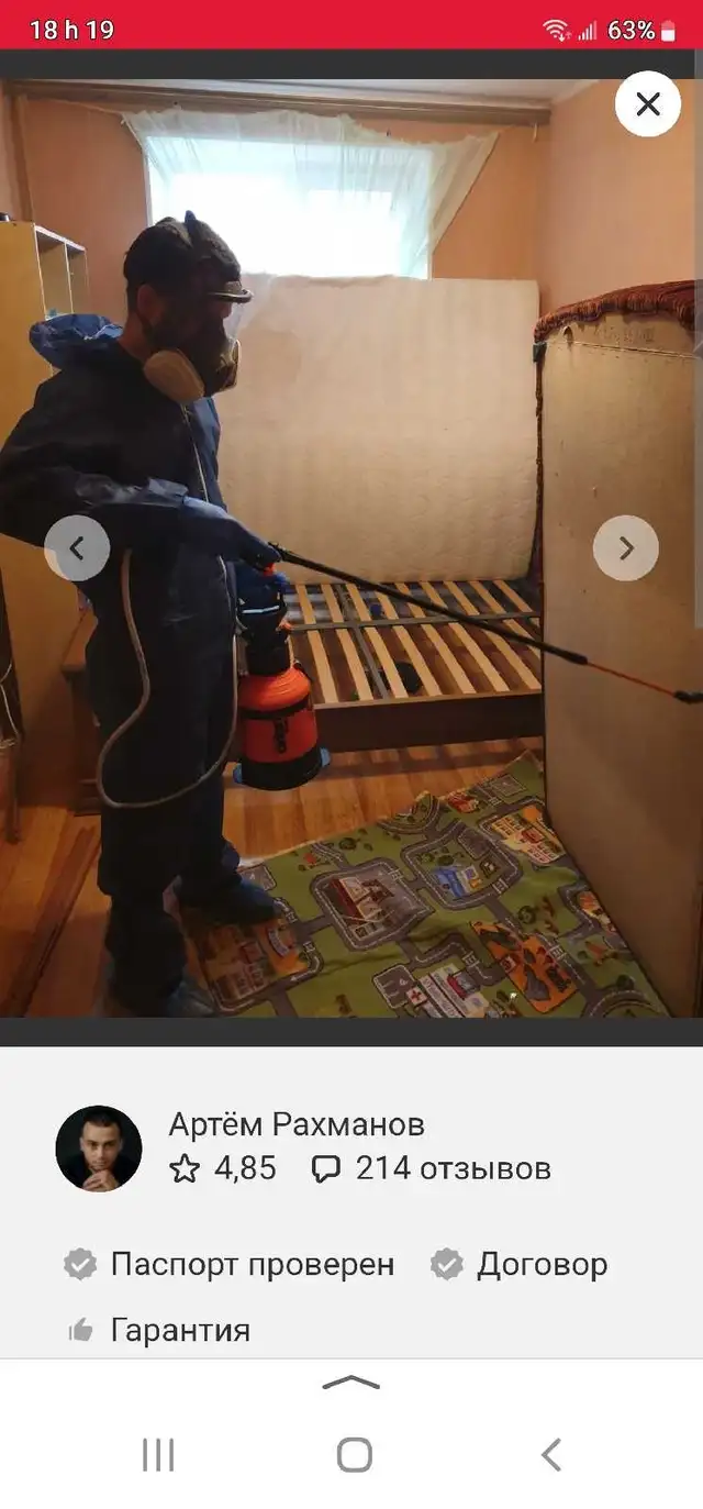 EXTERMINATION FOURMIS SOURIS COQUERELLES PUNAISES 514-561-8933