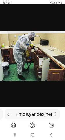 EXTERMINATION FOURMIS SOURIS COQUERELLES PUNAISES 514-561-8933 - Photo 2