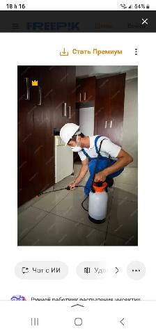 EXTERMINATION FOURMIS SOURIS COQUERELLES PUNAISES 514-561-8933 - Photo 3