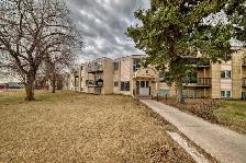 Belvedere 2 Bed 1 Bath Apartment Edmonton - Photo 2