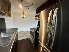 Belvedere 2 Bed 1 Bath Apartment Edmonton - Photo 4