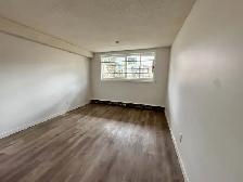 Belvedere 2 Bed 1 Bath Apartment Edmonton - Photo 8