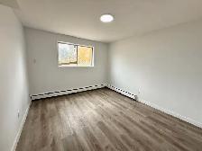 Belvedere 2 Bed 1 Bath Apartment Edmonton - Photo 10