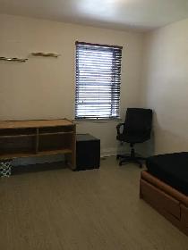 Short Term Private Room With Private Washrm- Lakeshore/Kipling - Photo 2