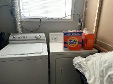 Legal two bedroom basement suite for rent in Calgary Alberta - Photo 3