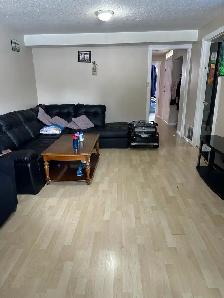 Legal two bedroom basement suite for rent in Calgary Alberta - Photo 7