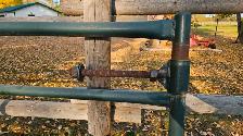 Prairie Panel Gate - Photo 3