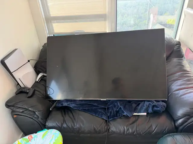 Sofa and TV