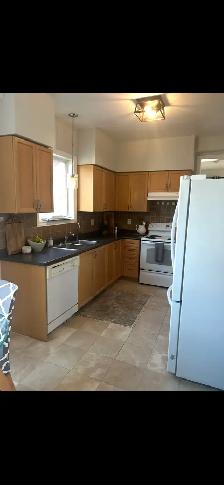 kitchen cabinets and countertops
