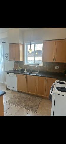 kitchen cabinets and countertops - Photo 3