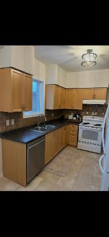 kitchen cabinets and countertops - Photo 4