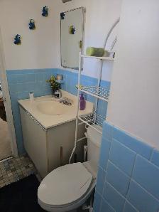 Master bedroom with half bath,  Algonquin College area - Photo 6