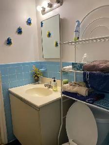 Master bedroom with half bath,  Algonquin College area - Photo 11