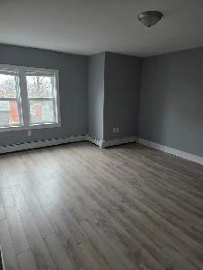 June 1st New Reno Large One BR Apartment & Balcony Quinpool Rd. - Photo 3