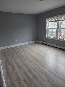 June 1st New Reno Large One BR Apartment & Balcony Quinpool Rd. - Photo 4