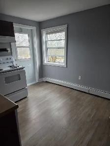 June 1st New Reno Large One BR Apartment & Balcony Quinpool Rd. - Photo 6