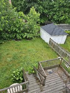 June 1st New Reno Large One BR Apartment & Balcony Quinpool Rd. - Photo 9