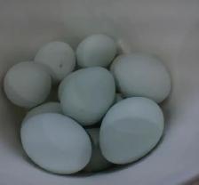 HATCHING EGGS!