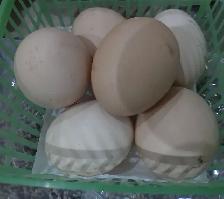HATCHING EGGS! - Photo 5