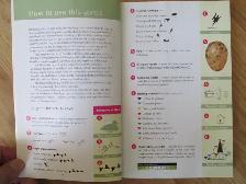 Formac Field Guide To NS Birds by Jeffrey C. Domm - 2012 SC - Photo 5