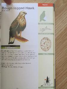 Formac Field Guide To NS Birds by Jeffrey C. Domm - 2012 SC - Photo 8