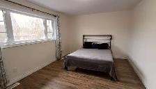 2BR Upper Triplex — In-Unit Laundry, 2 Parking, Pets Welcome - Photo 5