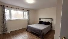 2BR Upper Triplex — In-Unit Laundry, 2 Parking, Pets Welcome - Photo 6